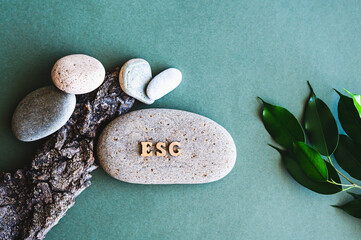 ESG concept wooden letters on stone, branch with leaves and tree bark on green top view