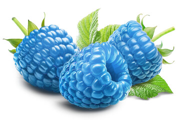 Three juicy cool blue raspberries with leaf isolated on a transparent background.