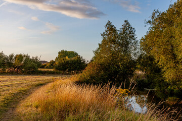 Rural Scene, Warwickshire, England