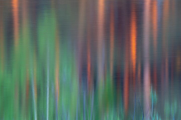 Reflections of birch and pine trees in a slow river, long exposure