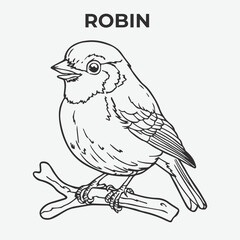 Robin bird Detailed Outline for Artistic Coloring. Vector Illustration