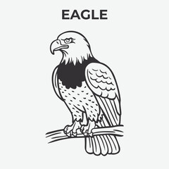 Eagle bird Detailed Outline for Artistic Coloring. Vector Illustration