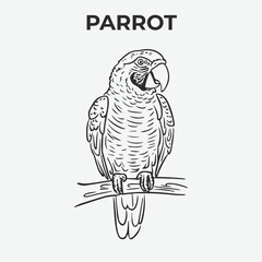 Parrot bird Detailed Outline for Artistic Coloring. Vector Illustration