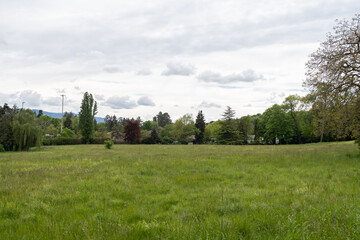 Chambésy verdure et campagne