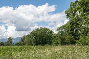 Obraz premium Bellevue, champ, forêt , Jura et ciel nuageux