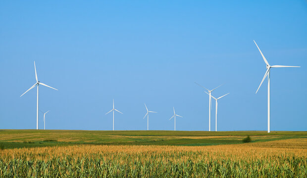 Electricity generating station. Alternative Energy Windmill Farm. Wind turbines standing tall in a field of corn under a clear blue sky, showcasing renewable energy and sustainable agriculture. - Powered by Adobe