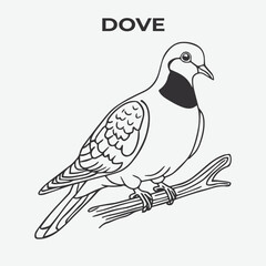 Dove bird Detailed Outline for Artistic Coloring. Vector Illustration