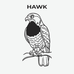 Hawk bird Detailed Outline for Artistic Coloring. Vector Illustration