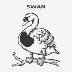 Swan bird Detailed Outline for Artistic Coloring. Vector Illustration