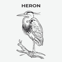 Fototapeta premium Heron bird Detailed Outline for Artistic Coloring. Vector Illustration