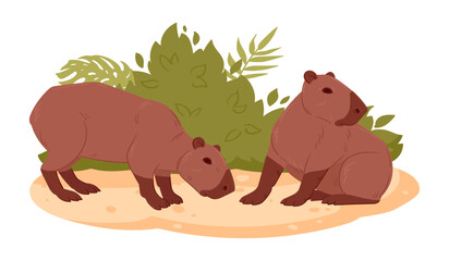 Cartoon wild capybaras. Herbivore mammals in natural habitat, semi-aquatic animals flat vector illustration. Cute capybaras