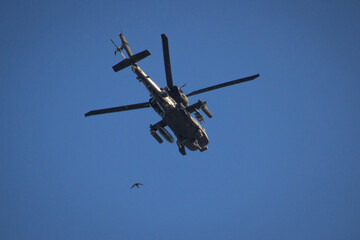 Military helicopter and small bird on a blue sky