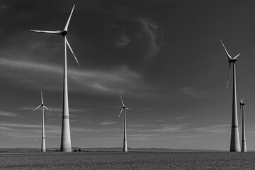 Windpark in Rheinhessen, Rheinland-Pfalz