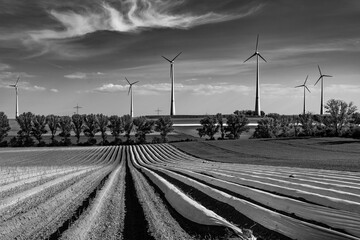 Windpark in Rheinhessen, Rheinland-Pfalz