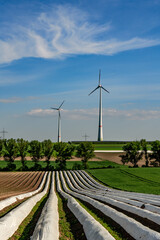 Windpark in Rheinhessen, Rheinland-Pfalz