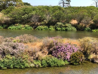 Landscape in Ludo, Algarve, Portugal 