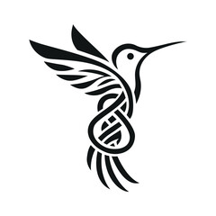 Hummingbird tattoo. Vector pattern in the style of Celtic braiding.
