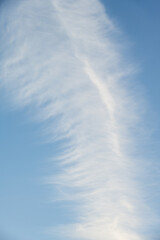 Light blue sky with a line of wispy white feathery cloud, as a nature background
