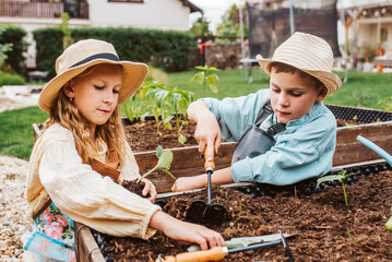 Girl and boy taking care of small vegetable plants in raised bed, holding small shovel. Childhood outdoors in garden.