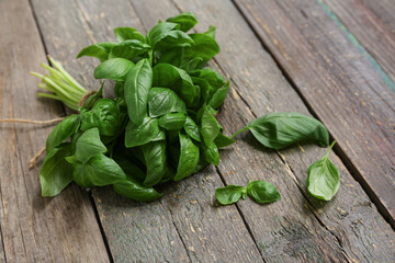 Fresh green basil leaves on wooden background