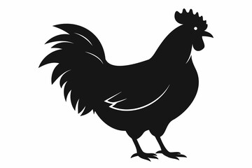 Rooster standing. Black silhouette isolated on white background. Illustration, bird figure, simple animal icon design concept. Rural life, farm animal, livestock. Print, sign, template