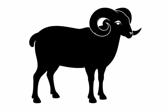 recommend clip art: Black silhouette of a standing male ram with curled horns. Sheep concept, animal icon, livestock design, agriculture theme. Black silhouette isolated on white background.