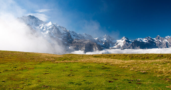 Pasture on Mt Mannlichen, Bern, Switzerland