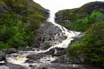 Waterfall in late spring in southern Newfoundland surrounded by dense forest