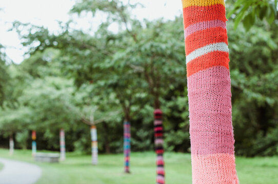 Row of trees with Trees trunks wrapped in crochet decorations, Ireland