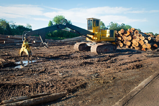 Log Loader picking up freshly cut logs at a logging facility, USA
