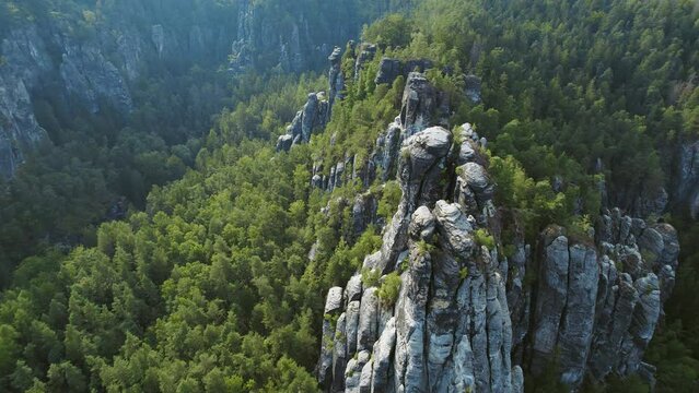 Towering rock formations surrounded by thick evergreen forest in Bastei, Elbe Sandstone Mountains of Germany.