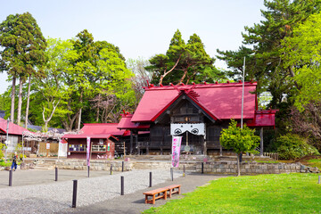 松前神社と桜