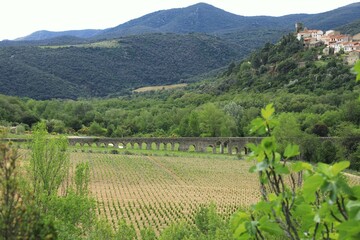 Fototapeta premium Ansignan, a hillside village in Pyrénées-Orientales department, southern France featuring Pont-aquedoc d'Ansignan, a 14th century aqua duct