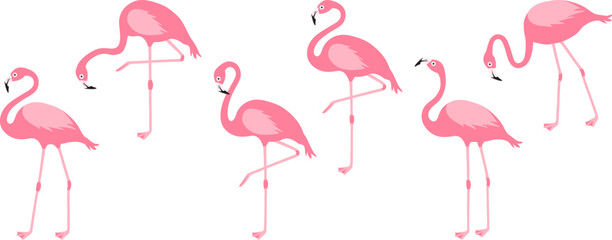 Cartoon vector flamingo, pink swan icon, tropical bird, summer animal set, cute zoo character isolated on white background. Exotic fauna illustration