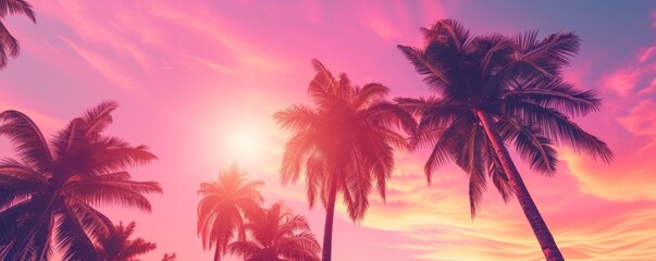 Sunset view of palm trees with vibrant sky