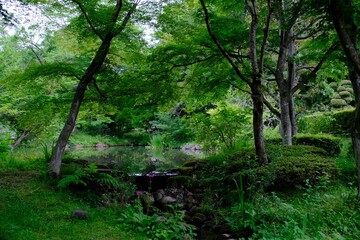 緑に囲まれた心休まる池