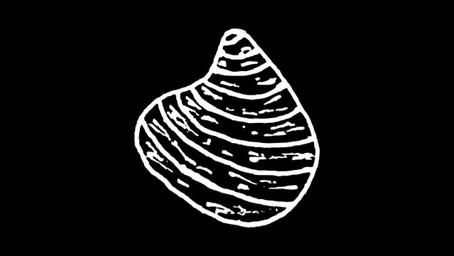 White wiggly hand drawn sea shell doodle icon animation 10