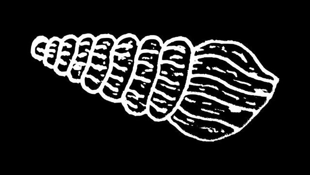 White wiggly hand drawn sea shell doodle icon animation 3