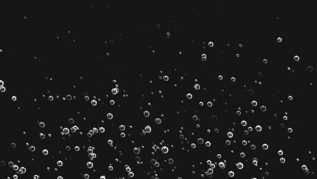 Sparkling water in the glass bubbles going up slow-mo motion Loop Alpha Channel