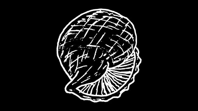 White wiggly hand drawn sea shell doodle icon animation 4