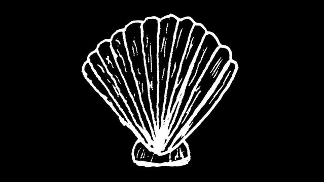 White wiggly hand drawn sea shell doodle icon animation 5