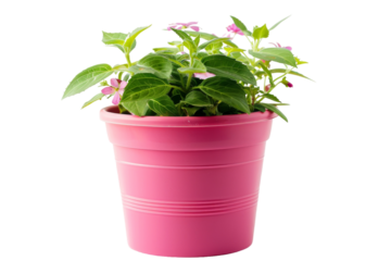 Classic White Plastic Flower Pot Isolated on Transparent Background