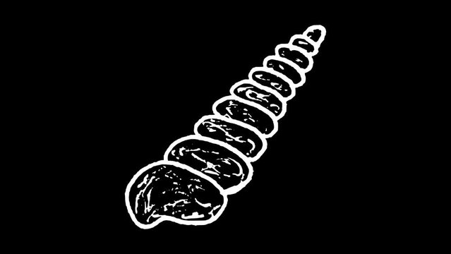 White wiggly hand drawn sea shell doodle icon animation 8