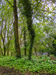 Obraz premium Edinburgh, Scotland, UK