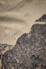 Color vertical photo of a beach composition, wet sand and asphalt stones on a sunny day. Background image, photo texture.