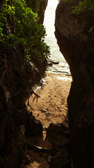 The golden light creates long shadows on the sandy path, and lush green foliage frames the entrance. The silhouette of the individual against the shimmering sea adds a sense of adventure and tranquili