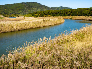 宮崎県串間市の市木地区にある美しい小川の風景