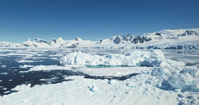 Fly over melting ice floes drifting polar ocean. Iceberg and towering snow coverd mountains in backdrop. Beauty of Antarctica landscape seascape. Ecology, climate change, global warming. Aerial shot