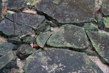 photo of a cracked and mossy stone floor worn down by time.