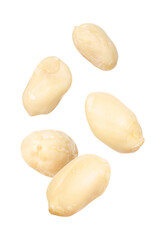 Many peanuts in air on white background